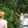 dagbesteding_1