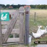 dagbesteding_20