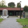 dieren_11