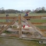 dieren_8