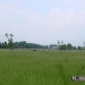 natuur_10