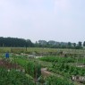 natuur_12