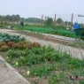 natuur_14