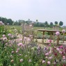 natuur_15