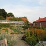 natuur_16