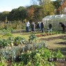 natuur_18