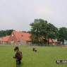 natuur_2
