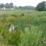natuur_3