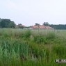 natuur_4