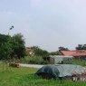 natuur_5
