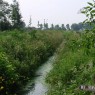 natuur_6