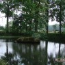 natuur_7