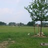 natuur_9
