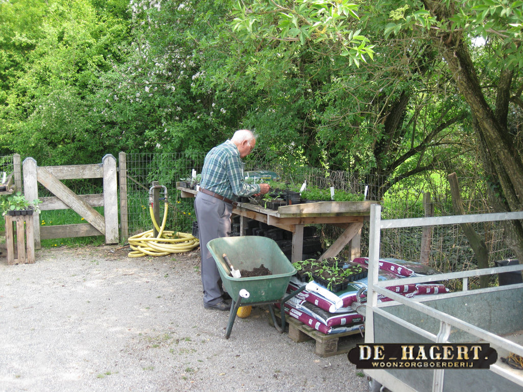 In-de-tuin-op-de-Hagert